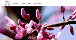 Desktop Screenshot of bouldertreecare.com